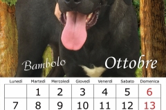 11_ottobre