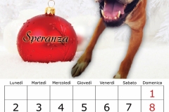13_dicembre