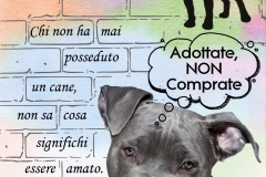 1_1_copertina2020