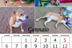 2_gennaio20