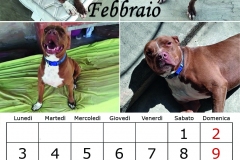 3_febbraio20