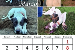 4_marzo20