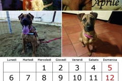 5_aprile20