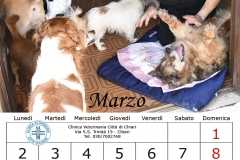 5_marzo20