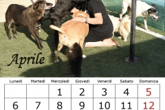 6_aprile20sponsor