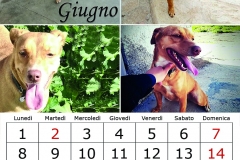 7_giugno20