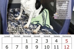 9_luglio20